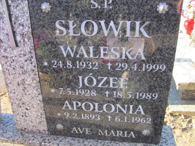 Apolonia Słowik 1893 Pomieczyno - Grobonet - Wyszukiwarka osób pochowanych